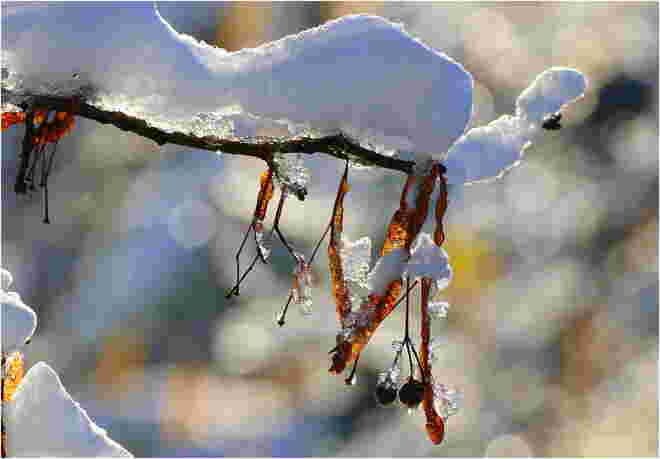 * glitzernder Advent *