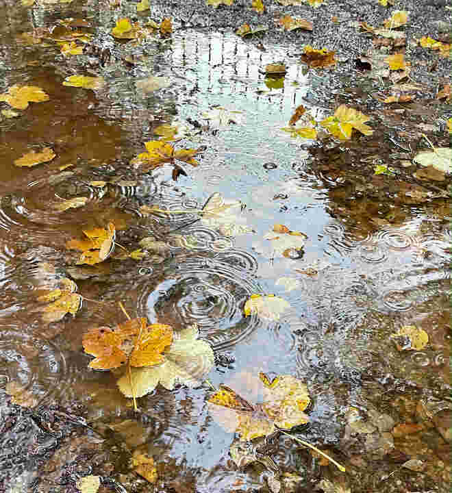 Regentag