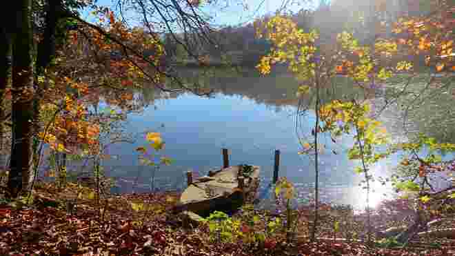 Herbstspaziergang in der Mittagspause 