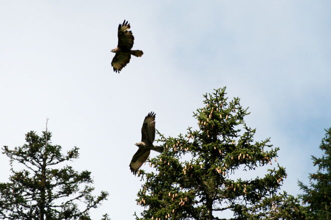 "besondere Begegnung"
