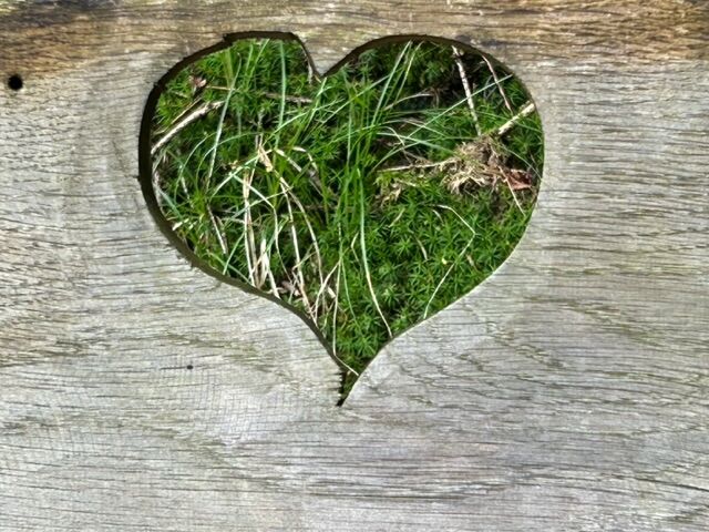 Ein herzlicher Gruß 