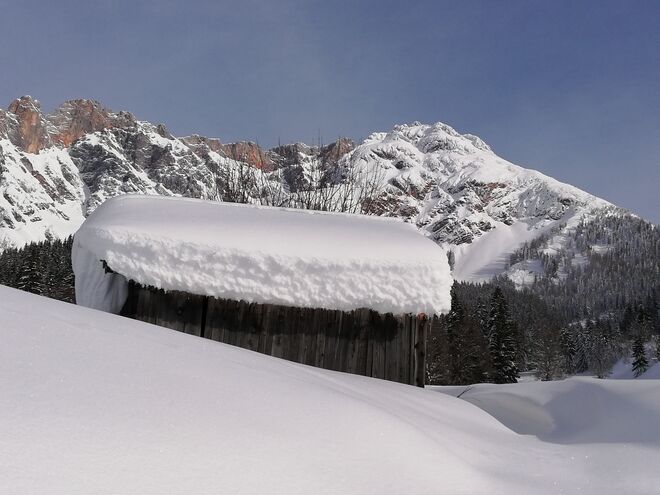 Herrlicher Winter 2019