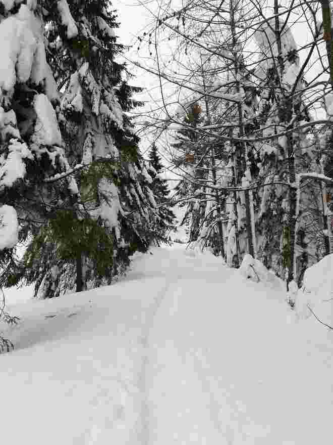 Spuren im Schnee 