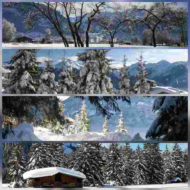 Pinzgauer WinterWonderLand 