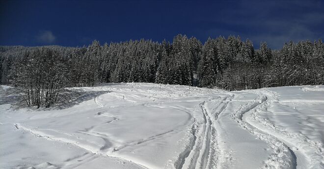 ... folge nur der Spur! 