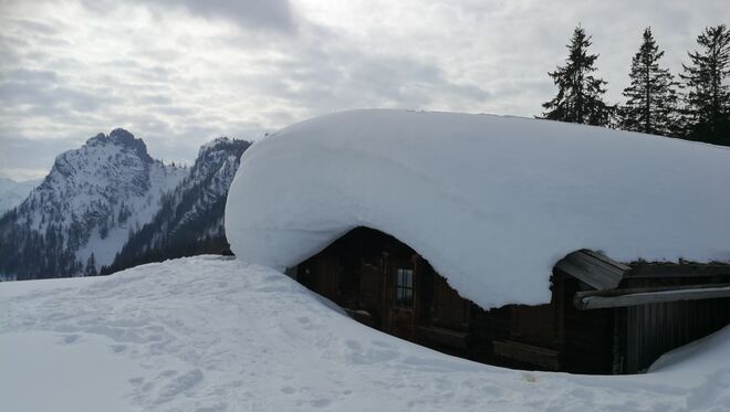 Schwarzeck - Kaiser (Alm) 
