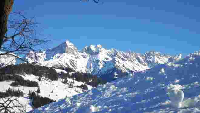 Morgendlicher Wintertraum 