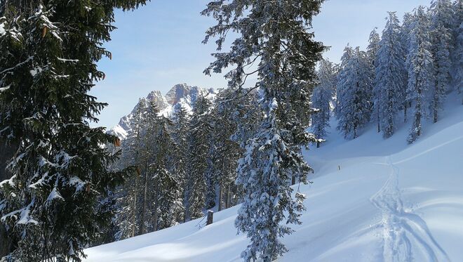 Herrliche Winterlandschaft