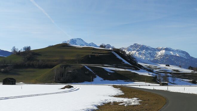 Saalfeldner Kühbühel mit Birnhorn im Hintergrund 