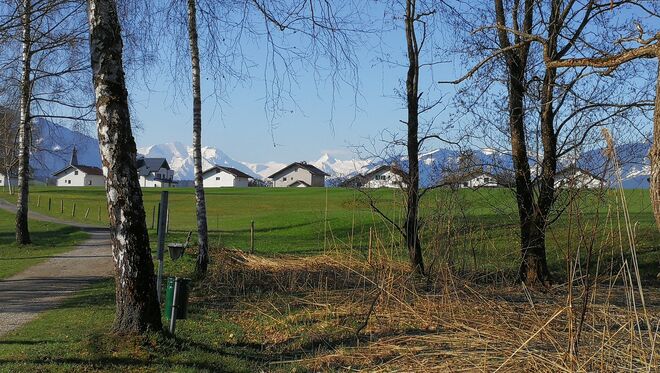 Auf der Birkenalee mit Blick auf die "Tauern" 