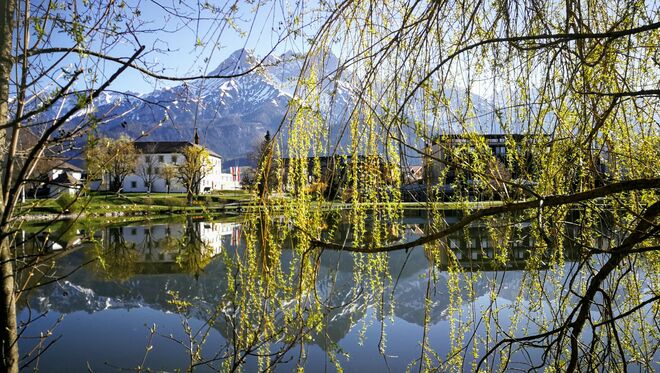 Morgendlicher "Schleier" 