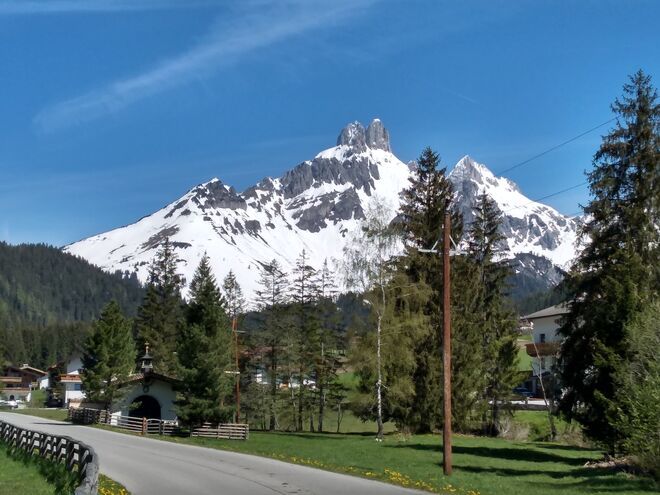 Bischofsmütze im Mai 2019