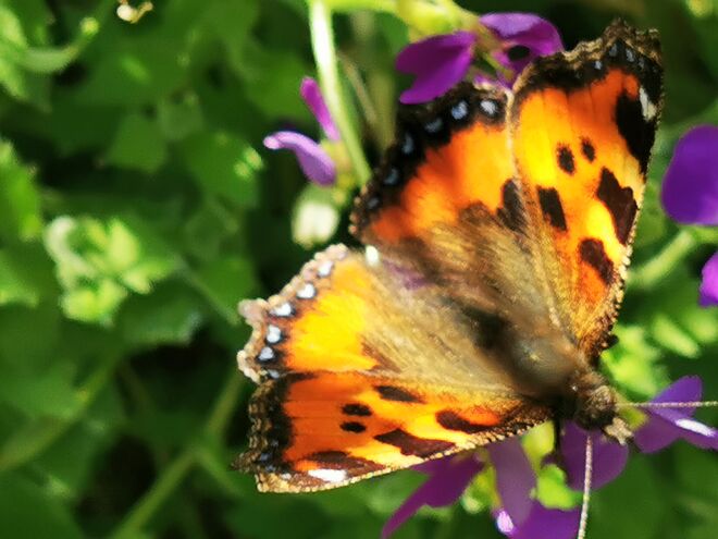 ... leichte unschärfe"
