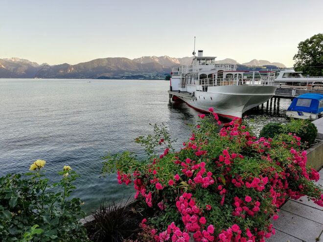 Die gute alte Gisela 