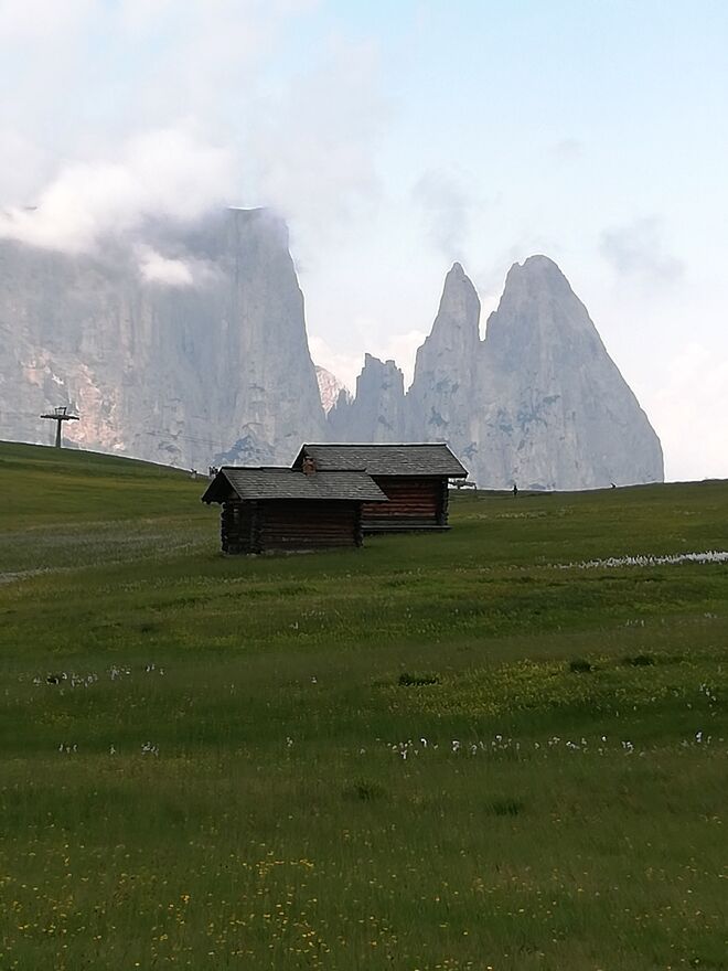 Ein sagenhafter Blick ....