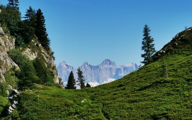  Blick auf's Dachsteinmassiv