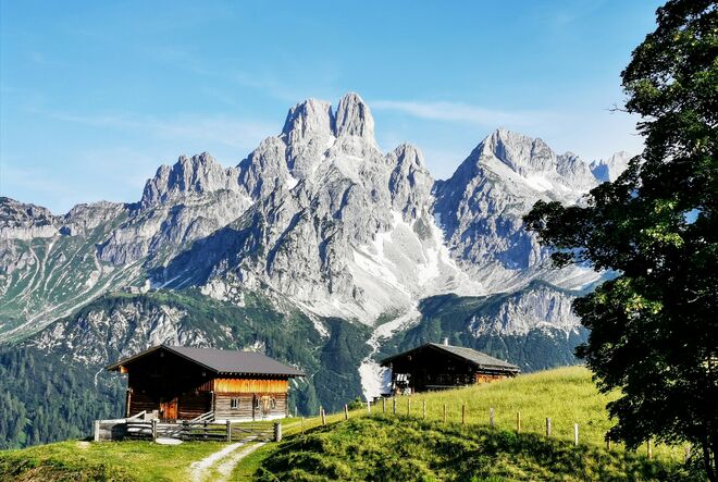 Herrliche Bischofsmütze