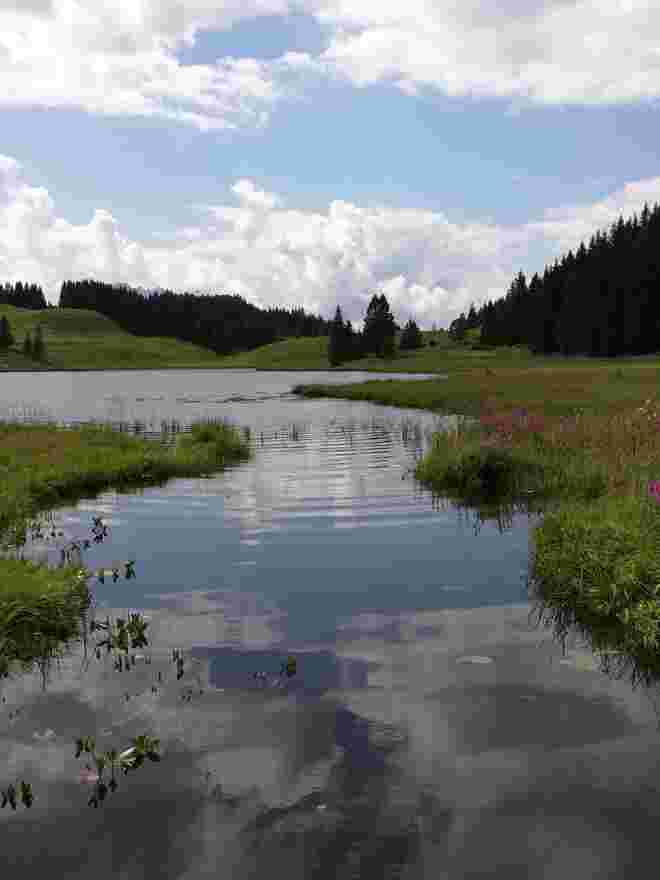 Seewaldsee 