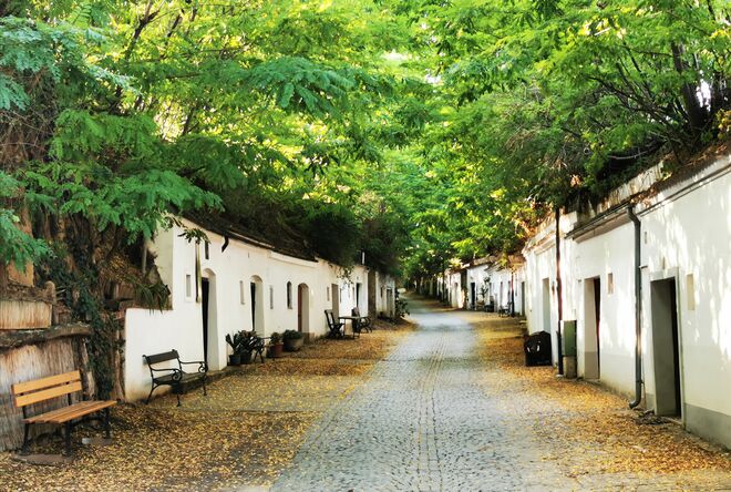 Am Radyweg in Poysdorf