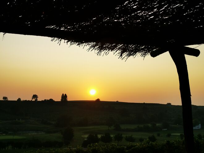 Poysdorfer Sonnenaufgang