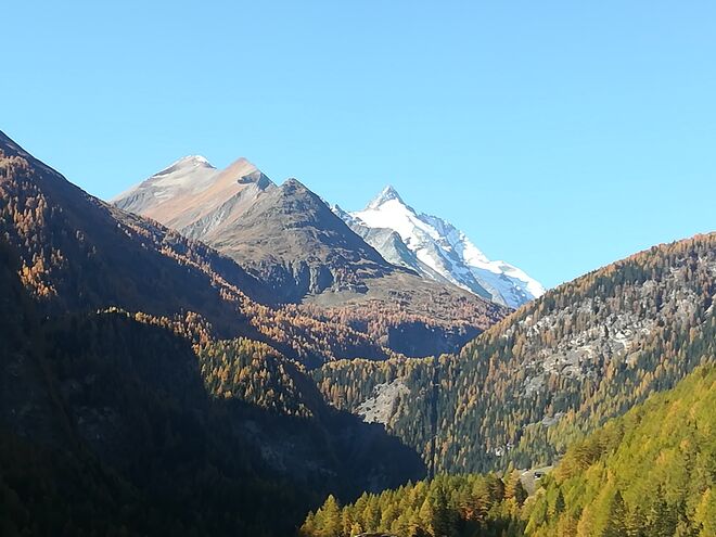 Großglockner
