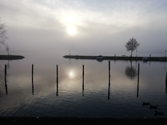 Wallersee im Nebel