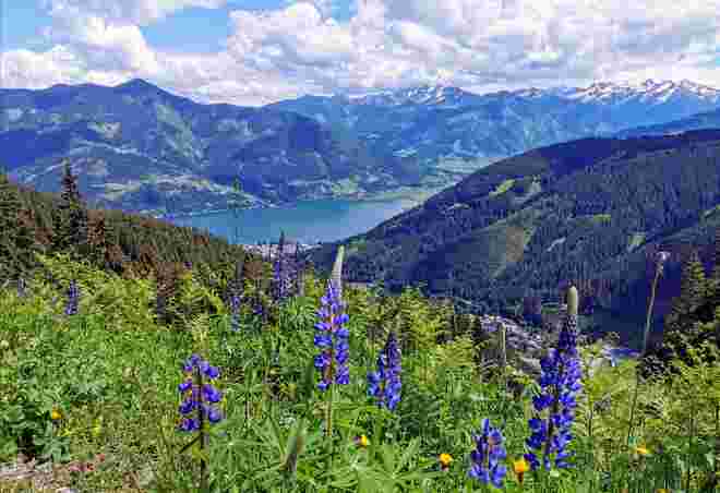 Blick auf Zell am See