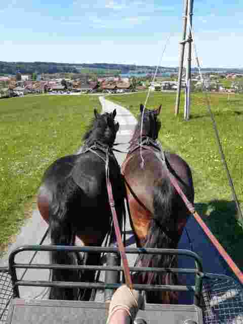 Ausfahrt