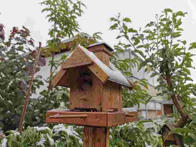 Schnee