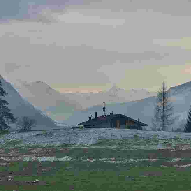 Bsuch- Kitz