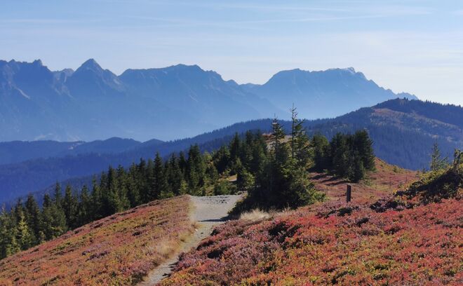 Hetbstfarben vom Feinsten