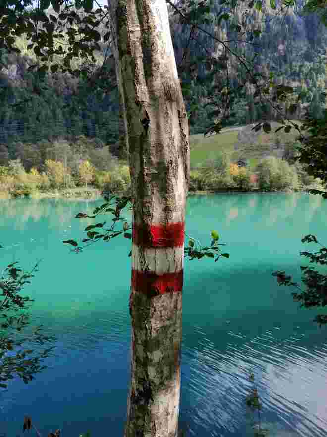 Heimat