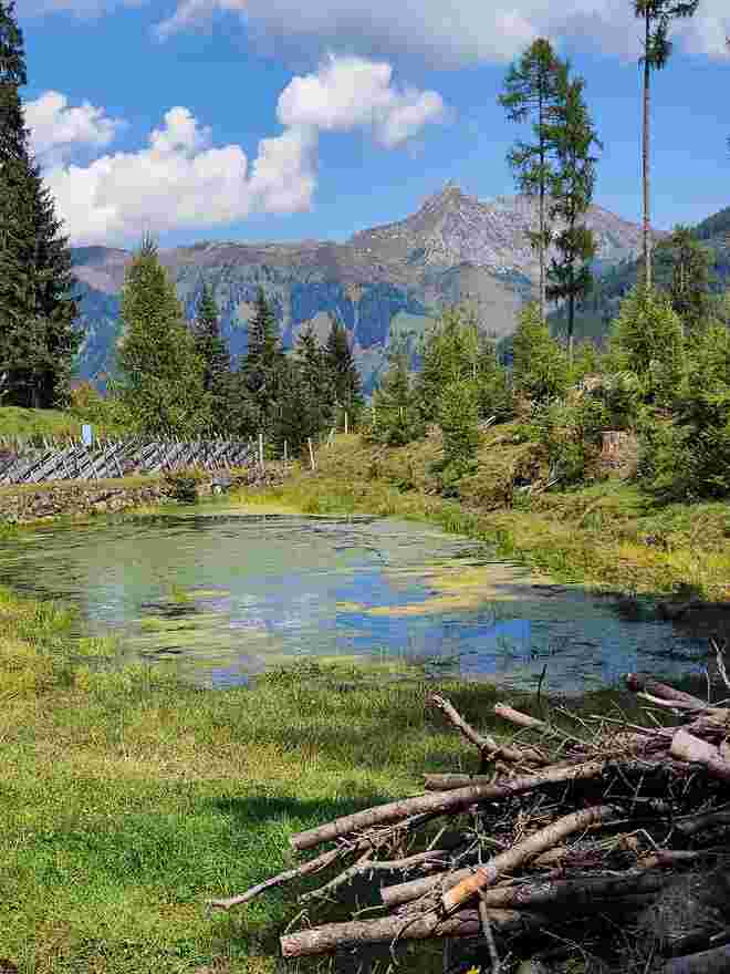 Farbentopf der Natur