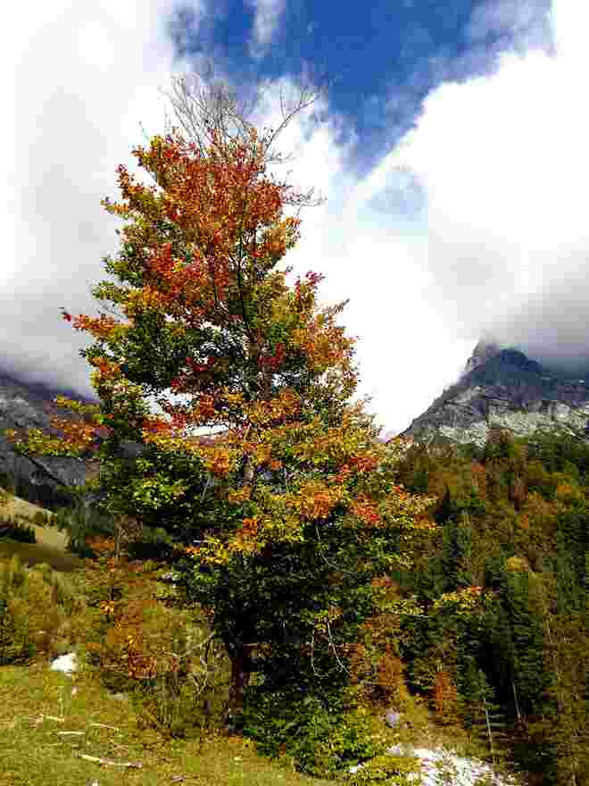 Zum Herbstbeginn - morgen früh um 3 Uhr!
