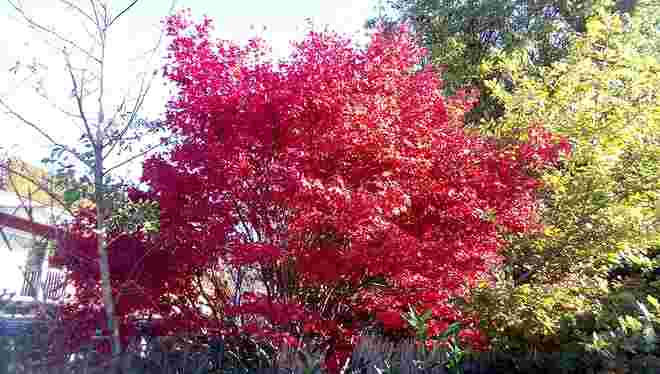 winter-herbst-sommer