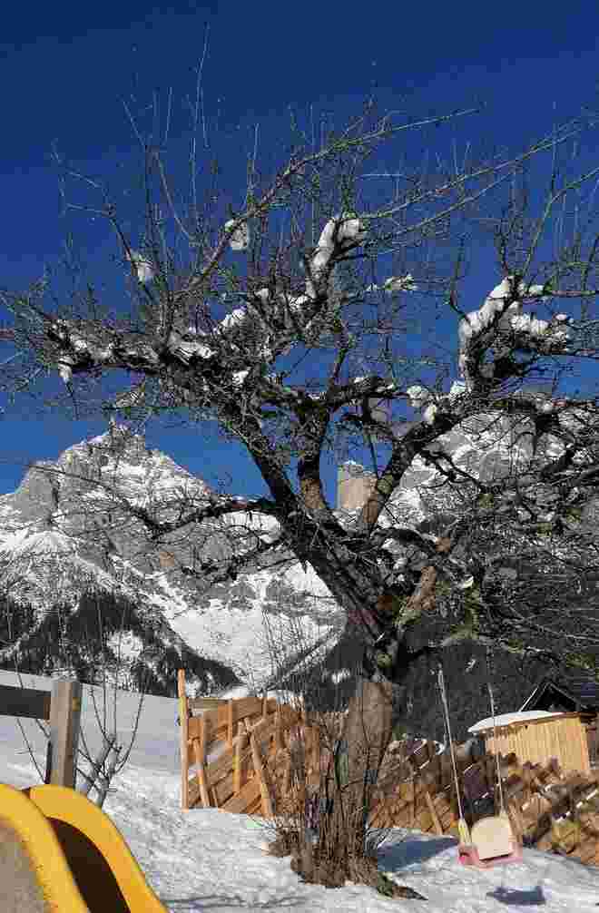 Pinzgauer Spielplatz im Winter 