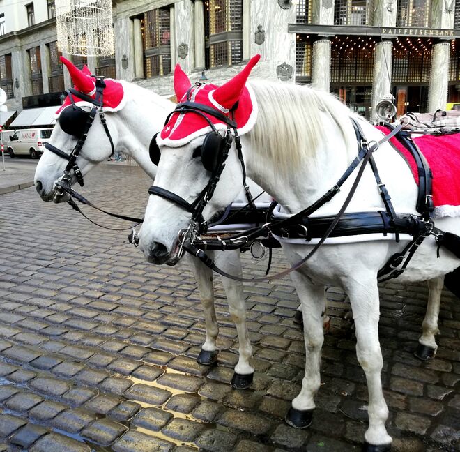 Grüße aus Wien x 3!