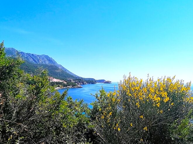 Aussicht auf die Kotor Bucht