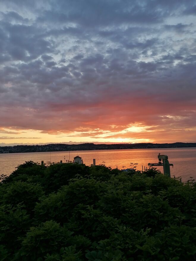 Sonnenaufgang am Bodensee 