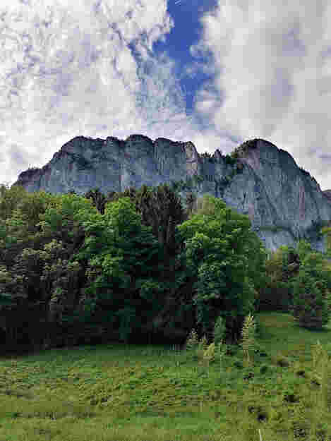 The Wall