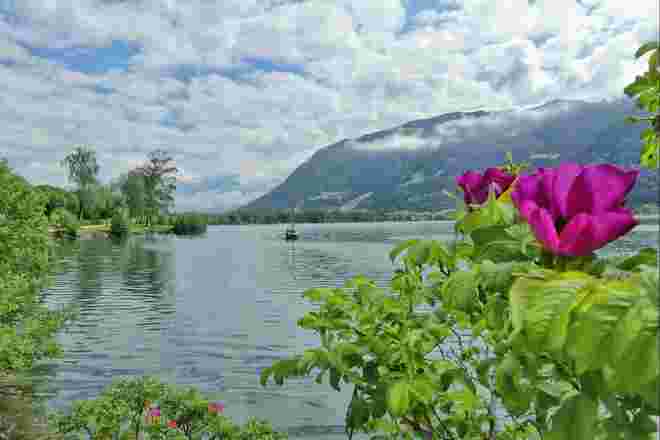 Ausflug an den Zeller See