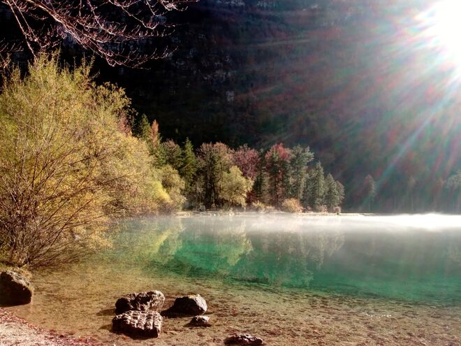 Spätherbstliche Lichtstimmung  am Bluntausee 