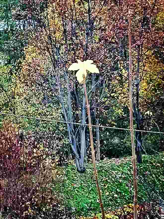 Loszulassen ist eine Kunst 