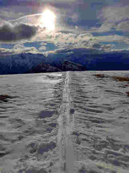 Spur im Schnee