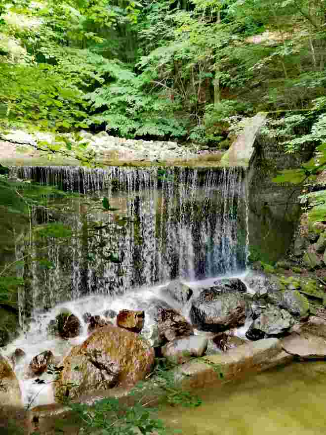 Naturpool