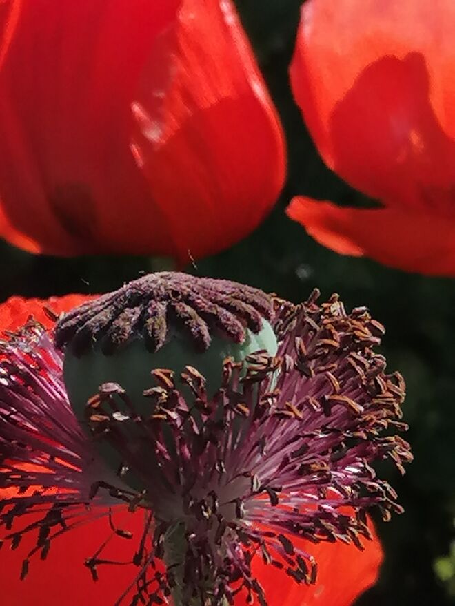 Ich gefallen mir jetzt besser! 