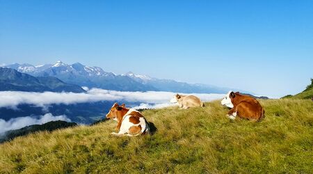 herrlicher Liegeplatz