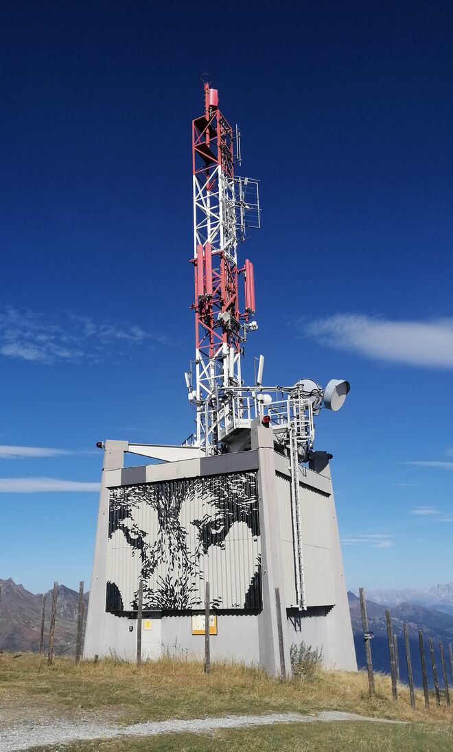 Senderwolf: Gekommen um zu bleiben 