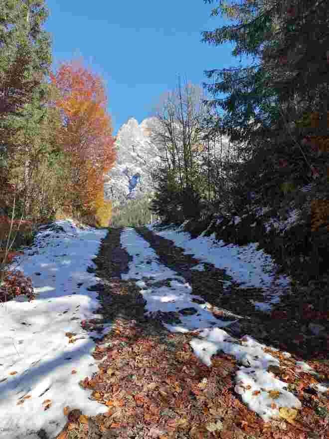 Weg Richtung Winter