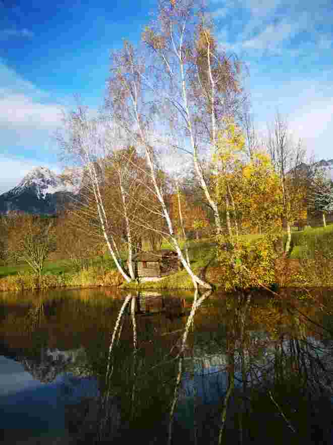 Teich am Golfplatz